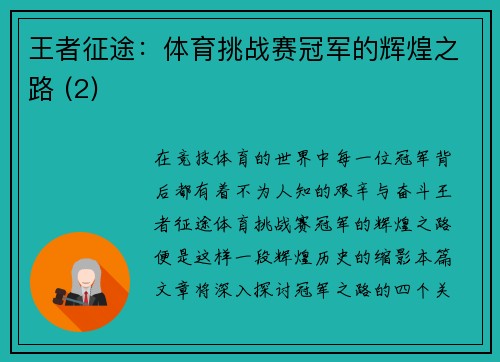 王者征途：体育挑战赛冠军的辉煌之路 (2)